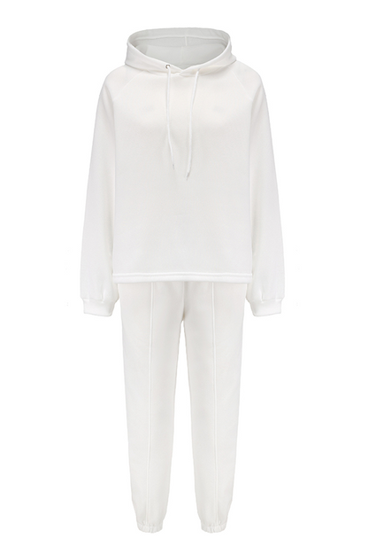 Street Sportswear Solid Patchwork Draw String Hooded Collar Long Sleeve Two Pieces(5 Colors)