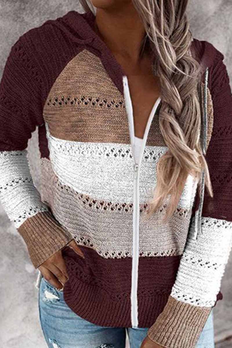Contrast Color Knitted Zipper Lightweight Hoodie