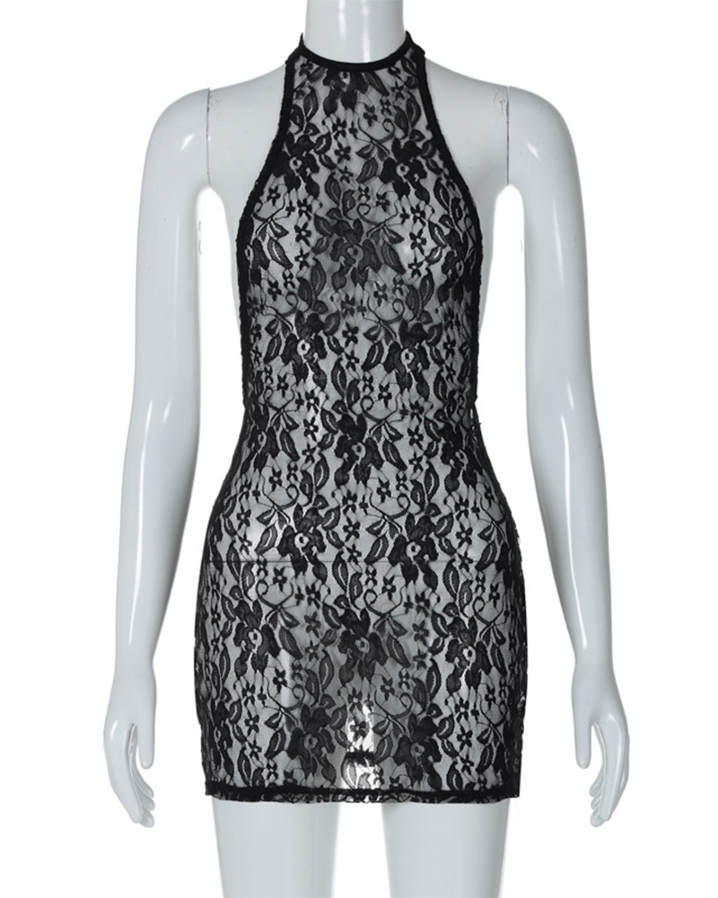 Lace Hip-Hugging Slim Dress