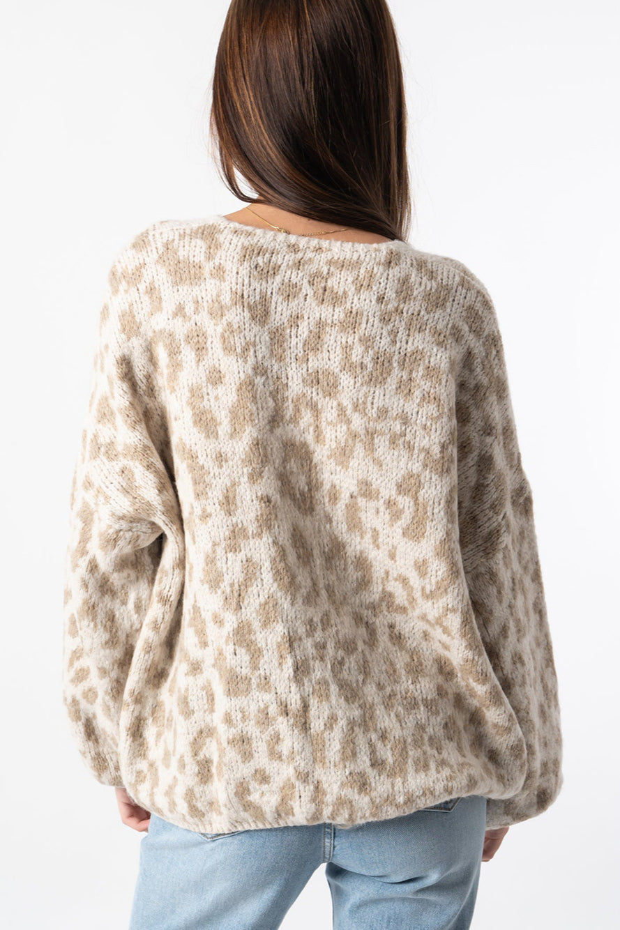 Loose Fit Colorblock Cardigan