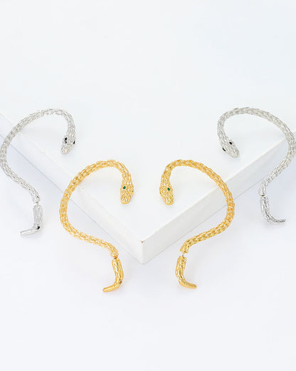 Punk Retro Wrapped Ear Hook Snake Shaped Earrings