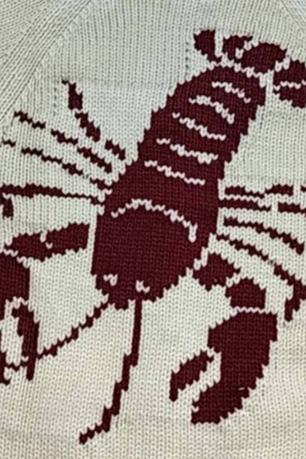 Chunky and Unique Knit Contrast Color Lobster Button Pocket Loose Cardigan