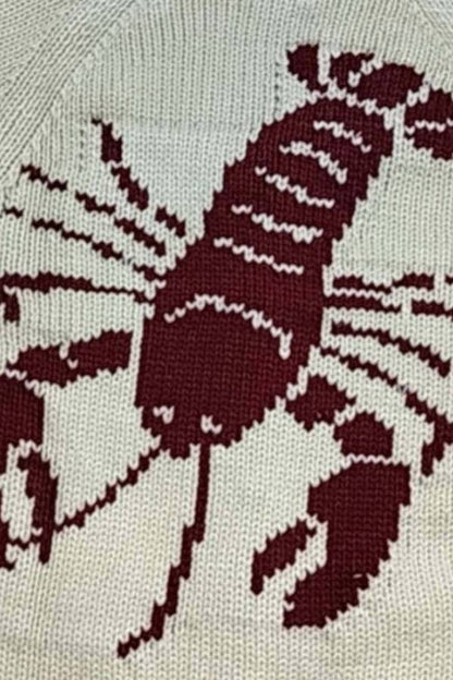 Chunky and Unique Knit Contrast Color Lobster Button Pocket Loose Cardigan