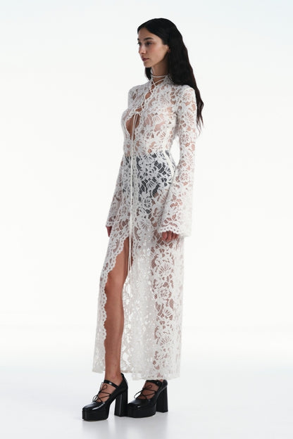 Anna Long Sleeve Sheer Lace Maxi Dress