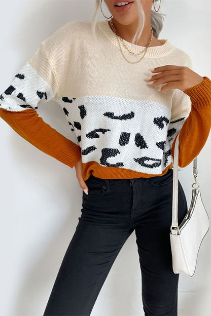Contrast Leopard Pattern Knit Sweater
